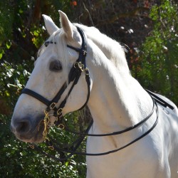 Handmade rolled double bridle