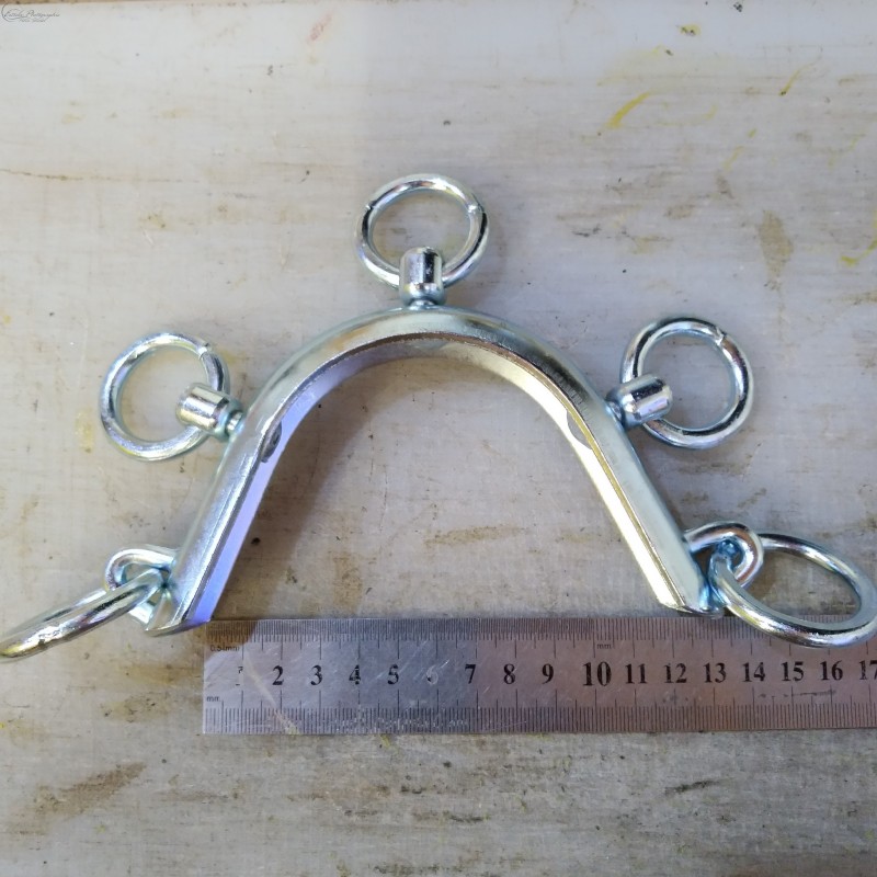 Portuguese Lunging Cavesson Queluz Alta Escola