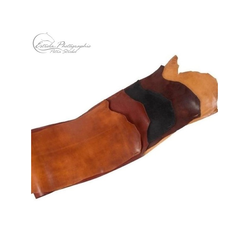 Portuguese Lunging Cavesson Queluz Alta Escola